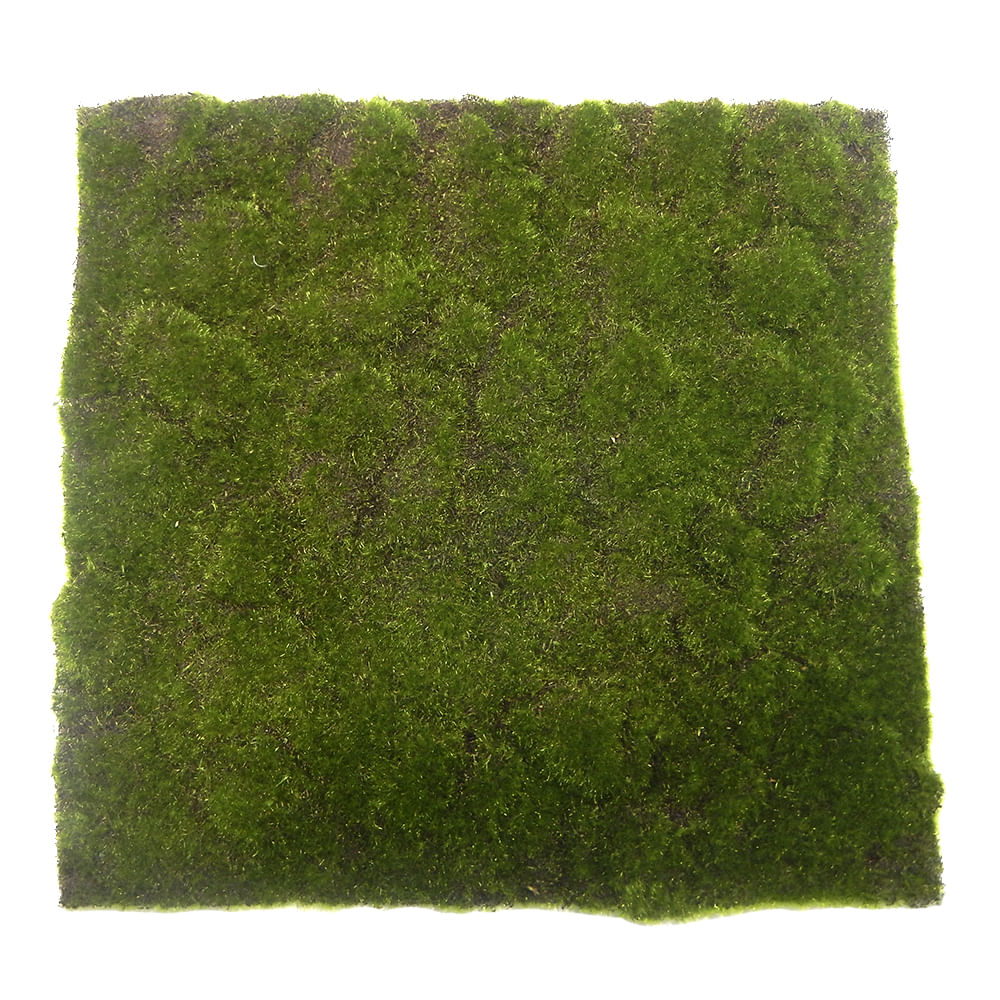 PALMETA MUSGO 50X50cm VERDE - FloraCenter - FloraCenter - floracenter