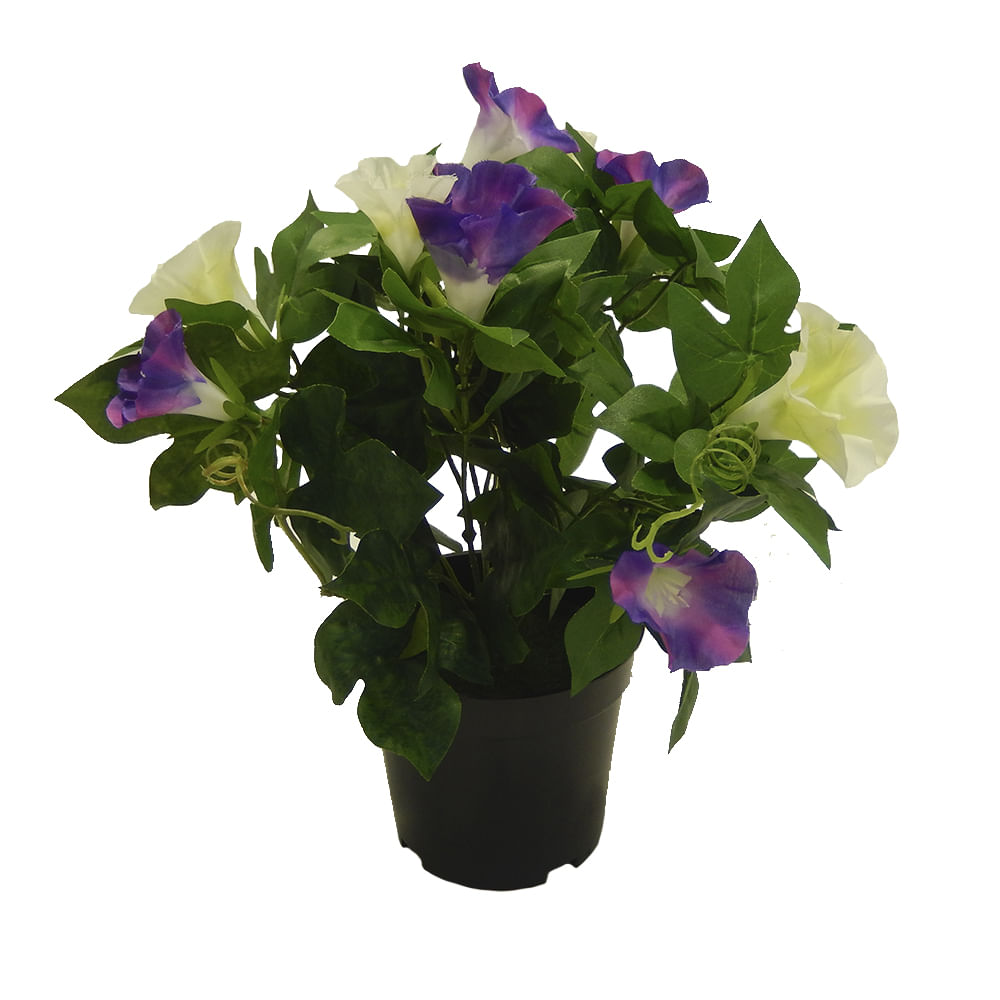 Download Planta Petunia 30cm Azul Floracenter Floracenter Floracenter For Android Free Get Wallpaper Planta Petunia 30cm Azul Floracenter Floracenter Floracenter For Android Free