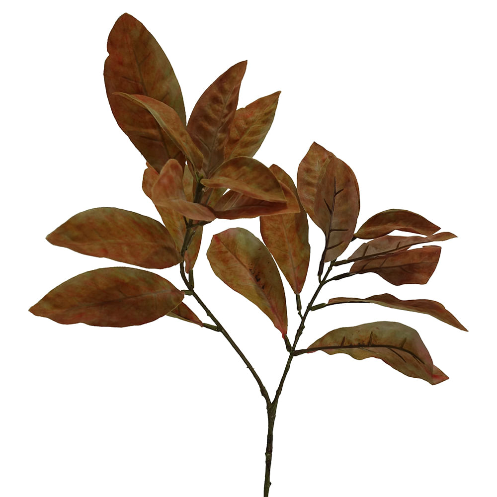 HOJA CROTON 72cm CAFÉ CLARO - FloraCenter - FloraCenter - floracenter