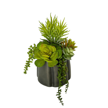 DISEÑO_SUCULENTAS_22X16cm_BASE_MET_1